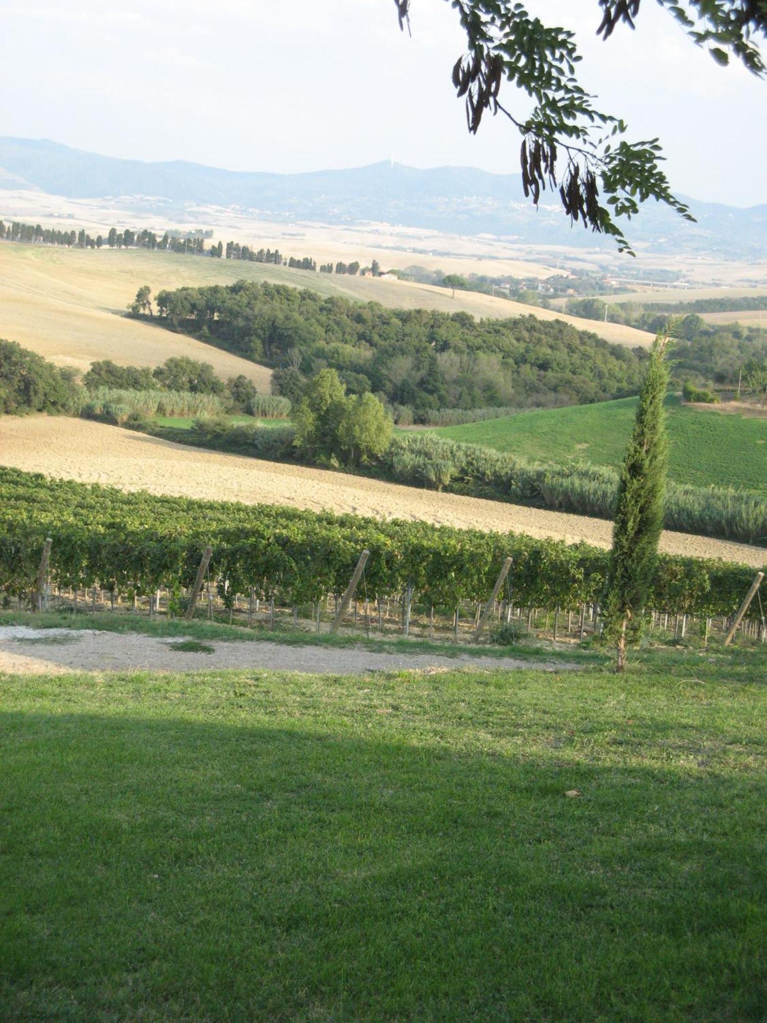 Agriturismo Cappellese Castelnuovo della Misericordia Exterior foto